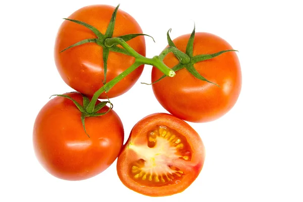 Blick Auf Rote Tomaten Auf Einem Zweig Auf Weißem Hintergrund — Stockfoto