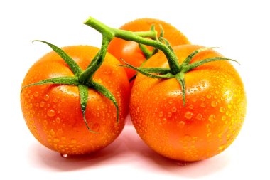 dal beyaz zemin üzerine kırmızı domates görünümü