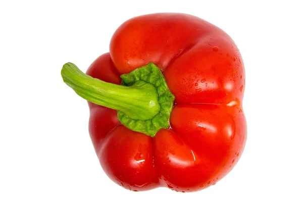 Peppers Paprika Bell Pepper Isolated White Sweet Pepper Clipping Path Royalty Free Stock Images