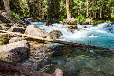 Dağ nehri su manzarası. Dağlardaki vahşi nehir.
