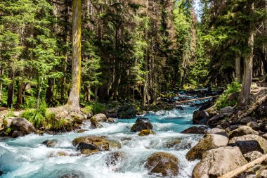 Dağ nehri su manzarası. Dağlardaki vahşi nehir.