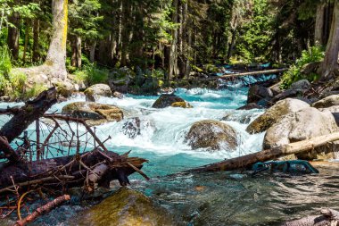 Dağ nehri su manzarası. Dağlardaki vahşi nehir.