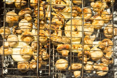 Izgara champignon mantar kapatın. Hafta sonları lezzetli Barbekü.
