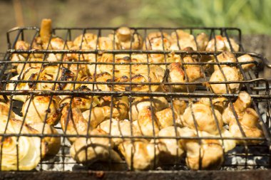 Izgara champignon mantar kapatın. Hafta sonları lezzetli Barbekü.