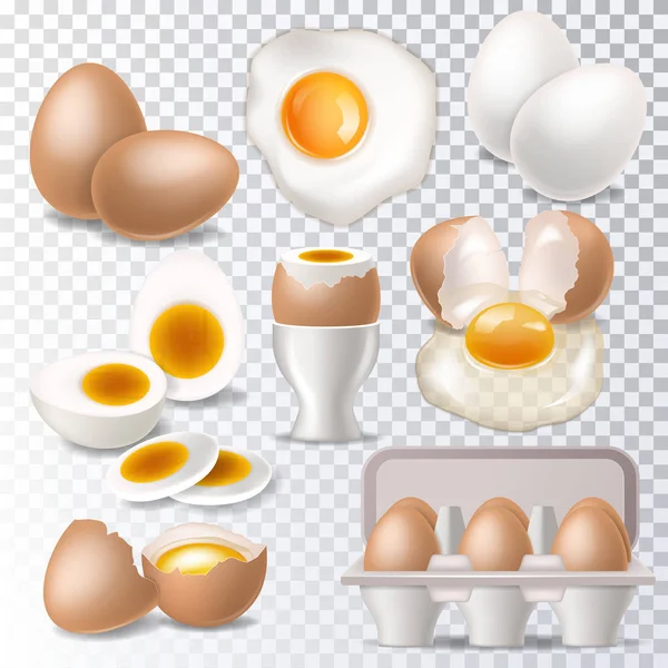Ei vector gezonde voeding eggwhite of dooier in ei-cup voor ontbijt illustratie van de "eggshell" of ei gevormde ingrediënten geïsoleerd op witte achtergrond — Stockvector
