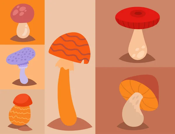 きのこ菌キノコ キノコさまざまなアート スタイル デザイン菌ベクトル図の赤い帽子 — ストックベクタ