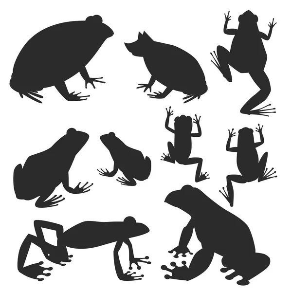 Grenouille vecteur silhouette dessin animé tropical faune animal vert grenouille nature drôle illustration toxique crapaud amphibien . — Image vectorielle