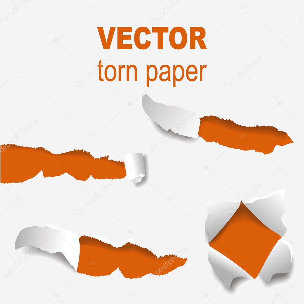 Torn edges paper hole lacerated ragged edge and crack realistic 3d style vector illustration concept grunge page template.