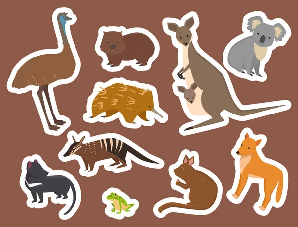 Australien vilda djur tecknad populära natur tecken platt stil däggdjur samling vektorillustration. — Stock vektor