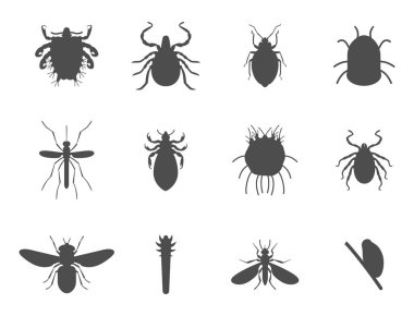 İnsan deri parazitleri konut zararlıları böcekler hastalığı asalak böcek makro hayvan ısırık tehlikeli enfeksiyon tıp haşere illüstrasyon siluet vektör.