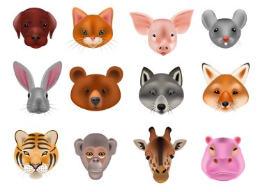 Hayvan maskesi vektör hayvansı maskeleme yüz vahşi karakter maskeli balo maskeli karnaval kılık maymun masquer beyaz arka plan üzerinde izole illüstrasyon dizi kurt tavşan ve kedi ya da köpek ayı