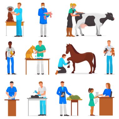 Veteriner vektör Veteriner doktor erkek ya da kadın evde beslenen hayvan hasta kedi ya da köpek illüstrasyon veteriner insanlarla hayvansı karakter kümesi içinde beyaz arka plan üzerinde izole vetclinic tedavi