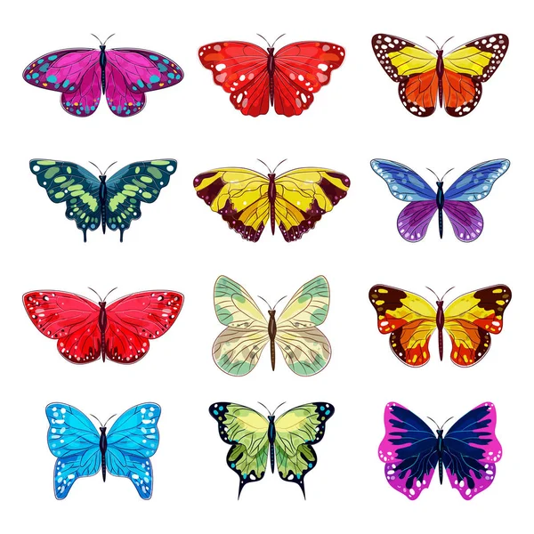 Schmetterling Vektor bunte Insekt fliegen für die Dekoration und schöne Schmetterlinge Flügel fliegen im Frühling Illustration blühende Dekor auf weißem Hintergrund isoliert gesetzt — Stockvektor