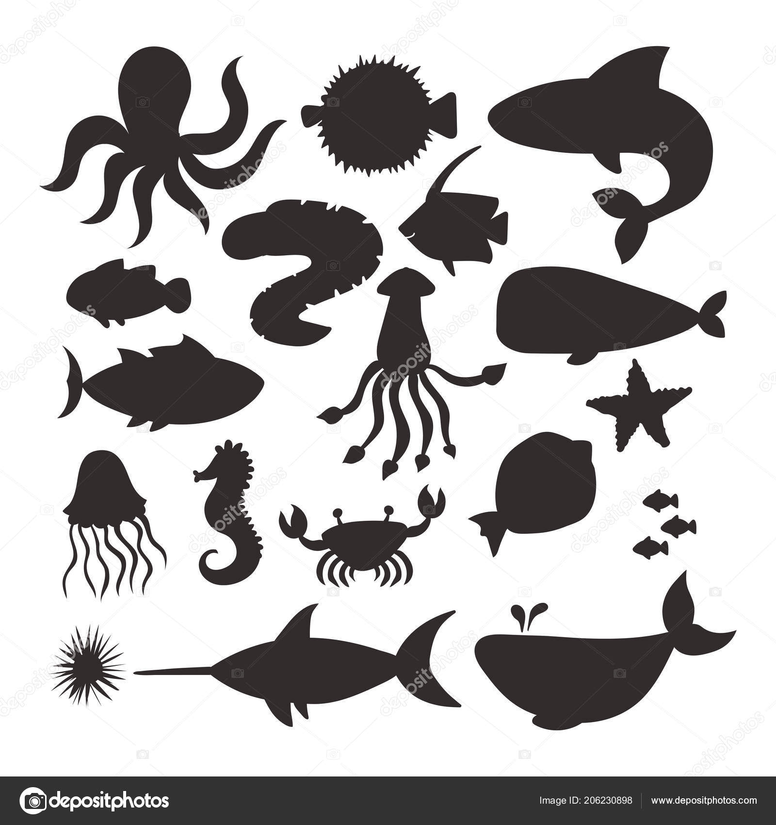 Animais Marinhos Silhueta Vetorial Criaturas Personagens Desenho Animado  Oceano Vida Vetor de ©luplupme.gmail.com 206230898, image size:1600x1700