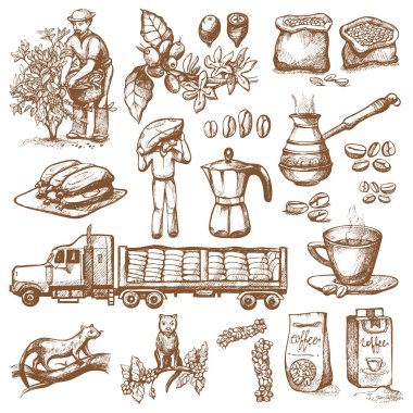 Kahve üretim çiftlik çiftçi malzeme çekme coffeine fasulye ağacı ve vintage içki retro Cafe koleksiyonu kroki coffeebean tatlı illüstrasyon çizim vektör.
