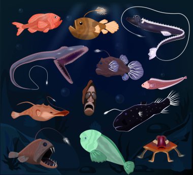 Fener balığı kızgın seafish yırtıcı hayvan karakter ile diş ve ışık vektör veya deniz-fener denizaltı tropikal vahşi hayat illüstrasyon küme üzerinde arka izole okyanus derin egzotik balık karikatür