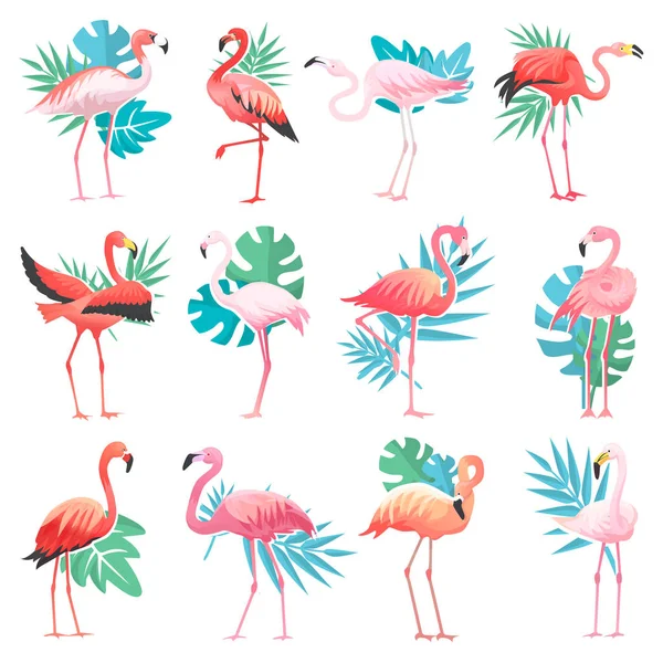 Flamingo Vector Tropical Pink Flamingos Exotic Bird Palm Leaves Illustration — Stock Vector