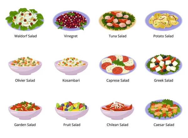 Салат вектор здоровой пищи со свежими овощами помидор или картофель в салат-миска или салат-блюдо на ужин или обед иллюстрации набор органических продуктов питания изолированы на белом фоне — стоковый вектор