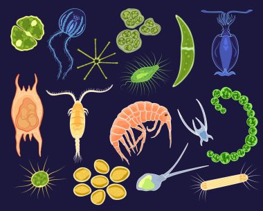 Plankton vector aquatic phytoplankton and planktonic microorganism under microscope in ocean illustration set of micro cell organism in microbiology underwater sea isolated on background clipart