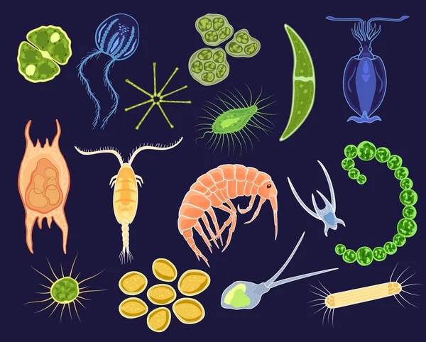 Plankton vektor vodní fytoplankton a planktonních mikroorganismus pod mikroskopem v oceánu ilustrace sada mikro buňky organismu v mikrobiologii podvodní sea izolované na pozadí — Stockový vektor