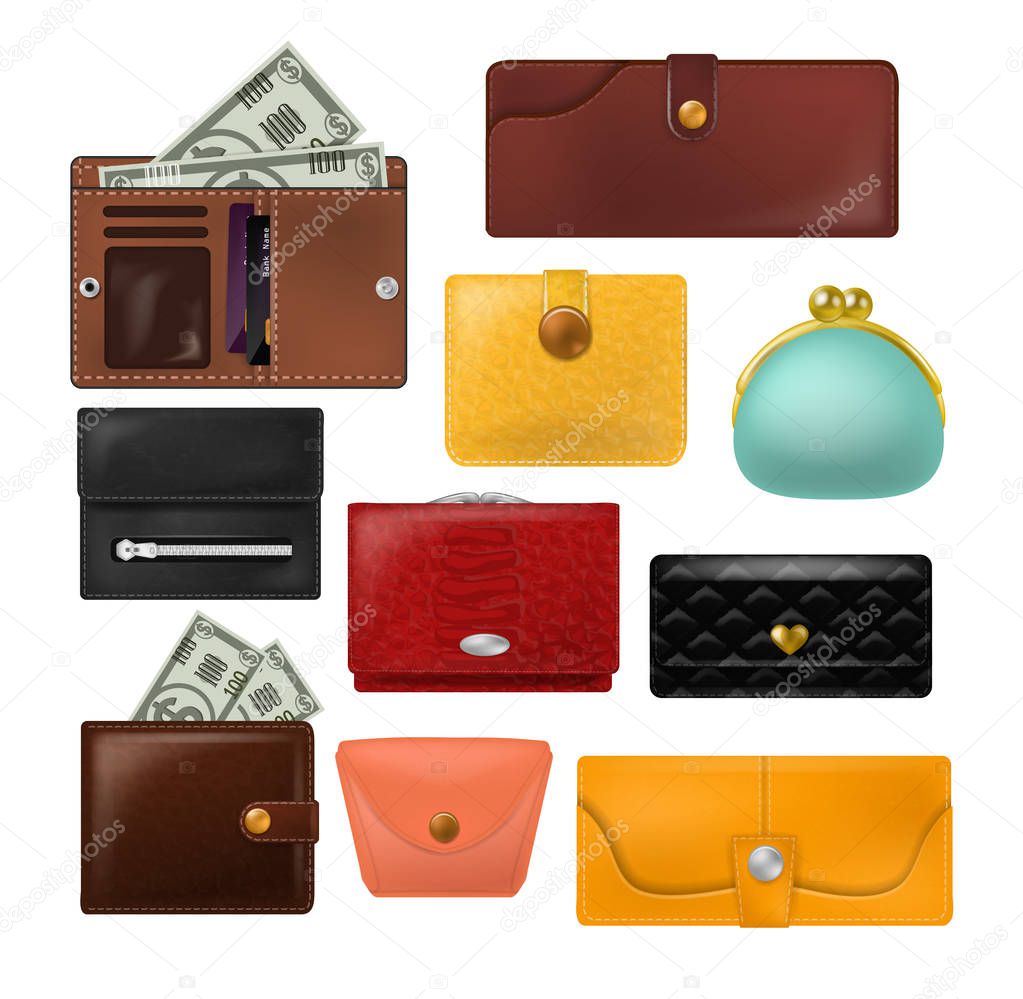 Wallet vector leather purse and business billfold with banknotes money illustration set of financial payment symbol coin-purse isolated on white background