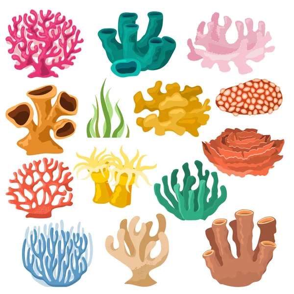 Mercan okyanus resif ve akvaryum beyaz arka plan üzerinde izole sucul bitki doğal deniz fauna deniz coralline veya egzotik cooralreef denizaltı illüstrasyon coralloidal set vektör