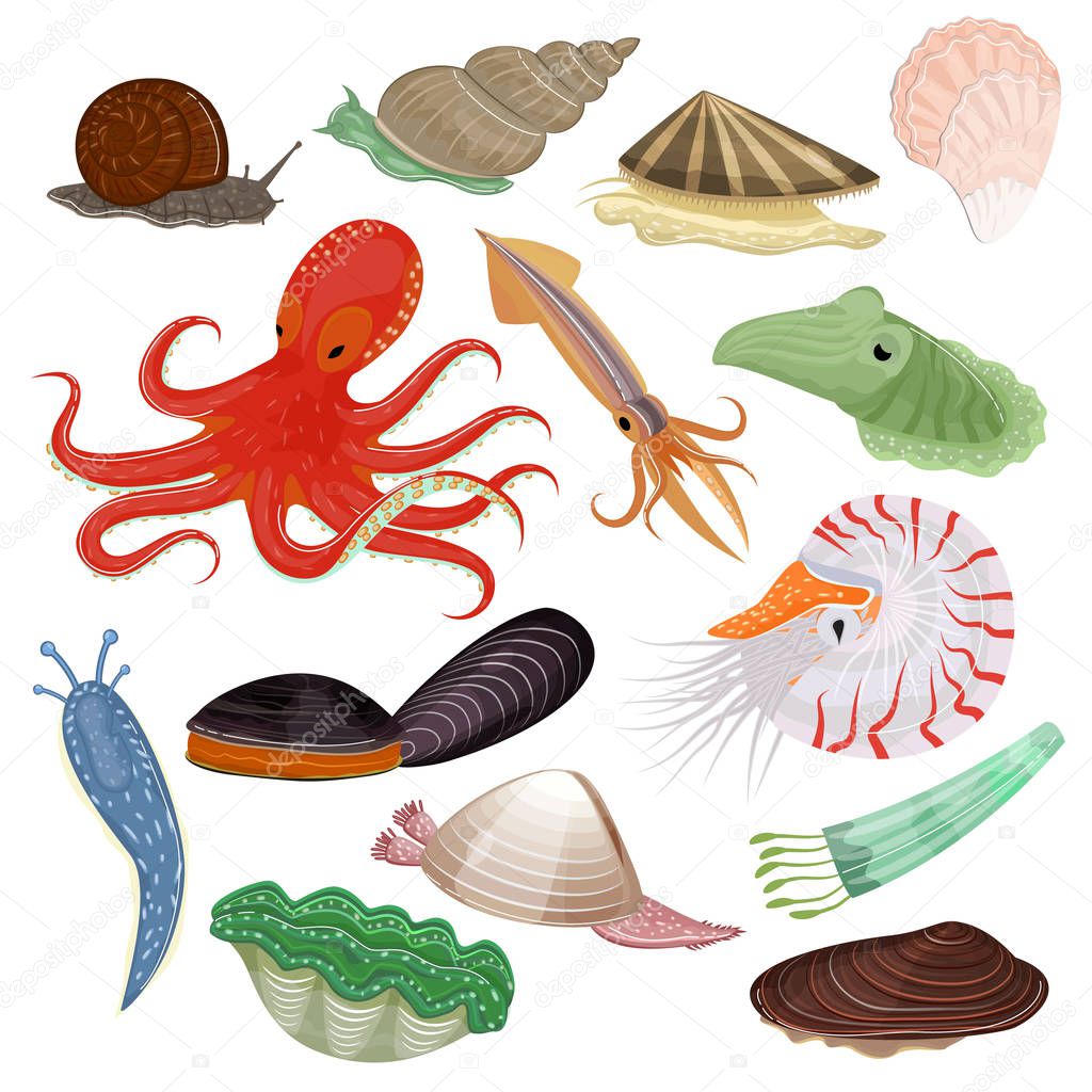 Shellfish vector marine animal octopus molluscs tentacle and animalistic character octopi oyster snail in sea illustration set of seafood cuttlefish and devilfish isolated on white background