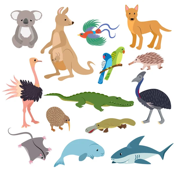 Australian animals vector animalistic character in wildlife Australia kangaroo koala and shark illustration set of cartoon wild wombat platypus and emu isolated on white background Vector Graphics
