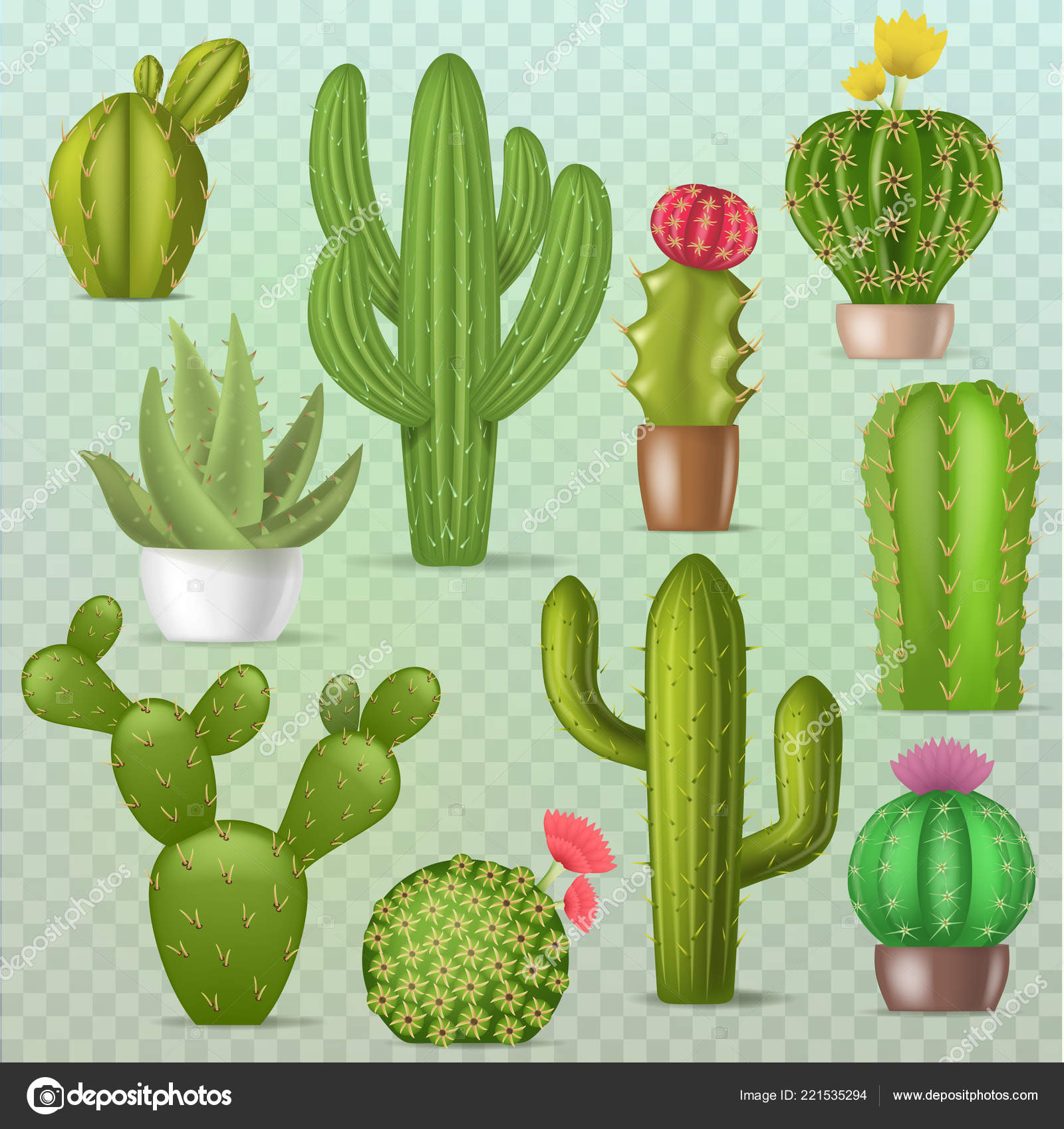 Vetores de Cactos No Estilo Desenho Animado Cacto Verde No Fundo