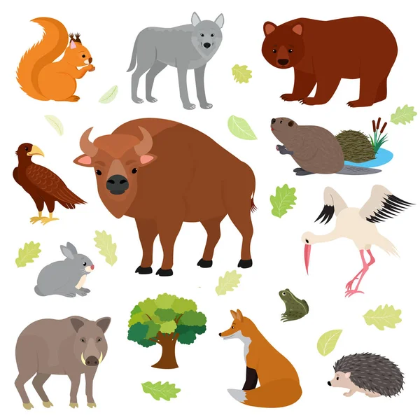 Állat vektor állatias karakter erdei mókus wolf bear nyúl wildlife ábrán sor európai ragadozó vaddisznó fox sündisznó elszigetelt fehér background — Stock Vector