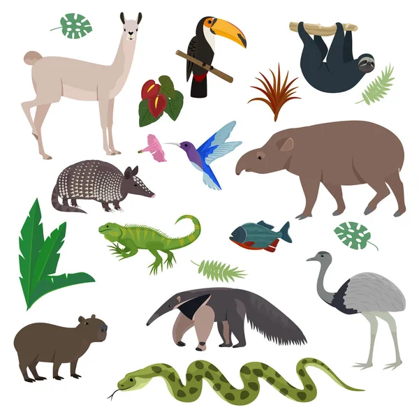 Animal en América del Sur vector animal salvaje carácter mamífero capibara tapir toucan en la fauna del sur ilustración conjunto de colibri lagarto tropical aislado sobre fondo blanco — Vector de stock