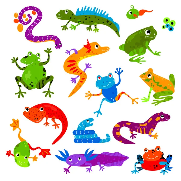 Plaz vektor zvířecích plazí obojživelníků froggy charakter ještěrka želva iguana a chameleon pet ilustrace sada Dragon varan žába izolovaných na bílém pozadí — Stockový vektor