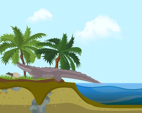 Terrarium ada afiş vektör illüstrasyon. Timsah çimenler üzerinde palmiye ağaçlarının yakınında sahilde yürüyor. Küçük çocuk ya da çocuk sadece su yakınında yumurtadan. Deniz veya okyanus kıyısı. — Stok Vektör