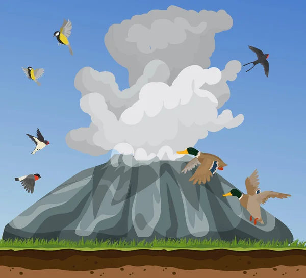 Ilustración de la naturaleza con pájaros pequeños volando en cielos azules asustados de fumar vulcano. Patos, golondrinas, tetorras y pinzones y volcán fumador activo. Vida silvestre animal. Paisaje del vector . — Archivo Imágenes Vectoriales