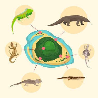 Komodo ejderha, Amerikan Kum kertenkele, egzotik adada egzotik sürüngenler monitör. Vahşi hayvanlar doğada lacertian. Kitap için vektör illüstrasyon, doğa posteri veya evcil hayvan mağazası, hayvanat bahçesi kaydetmek.