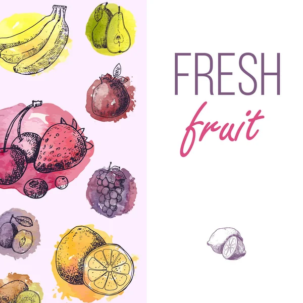 Πρότυπο μενού σχεδίων φρέσκων φρούτων. Χειροποίητα vintage διανυσματικά πλαίσια. Καλοκαίρι φρούτα σετ από μούρα, μπανάνα, αχλάδια, πορτοκαλί, σταφύλια σε χρωματιστές σταγόνες. — Διανυσματικό Αρχείο
