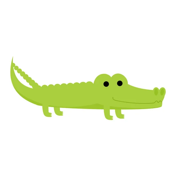 鳄鱼矢量漫画鳄鱼的绿色鳄鱼特征- -在儿童游戏室玩耍- -从白色背景中孤立出来的动物性幼稚有趣的掠食者 — 图库矢量图片