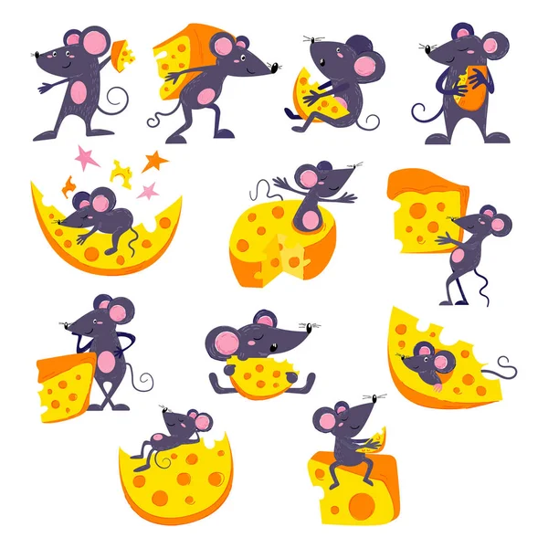 만화 마우스 벡터 무스 동물 캐릭터 설치류와 치즈 먹는 치즈 음식 일러스트 마우스 세트작은 마우스 그림 설정 흰색 배경에 고립 된 재미있는 쥐 — 스톡 벡터