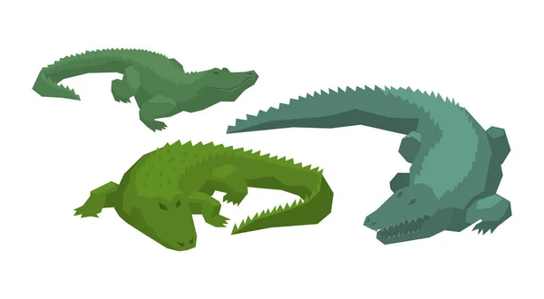 Crocodilo vetor desenho animado caráter crocodiliano de jacaré verde carnívoro ilustração animalístico conjunto de predador anfíbio perigoso com mandíbulas isoladas no fundo branco —  Vetores de Stock