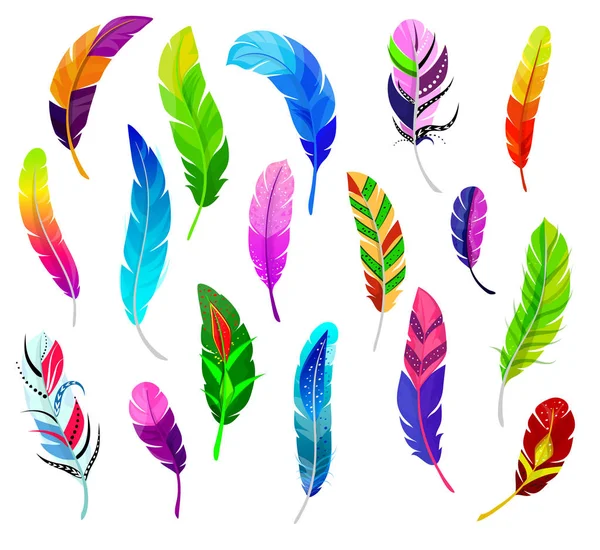Pluma vector esponjoso plumas quil y colorido plumas aves pluma ilustración conjunto de color pluma-pluma decoración aislada sobre fondo blanco — Vector de stock