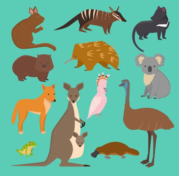 Australská divoká zvířata sbírka karikatur Austrálie oblíbená zvířata jako platypus, Koala, klokan, pštros set izolovaná na pozadí — Stock fotografie