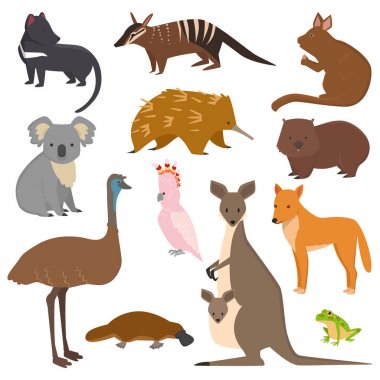 Avustralya vahşi hayvanlar karikatür koleksiyonu platypus gibi Avustralya popüler hayvanlar, koala, kanguru, devekuşu beyaz arka plan izole seti