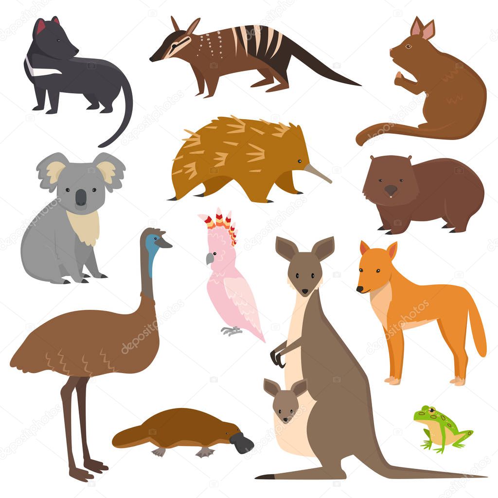 Australian wild animals cartoon collection australia popular animals like platypus, koala, kangaroo, ostrich set isolated on white background