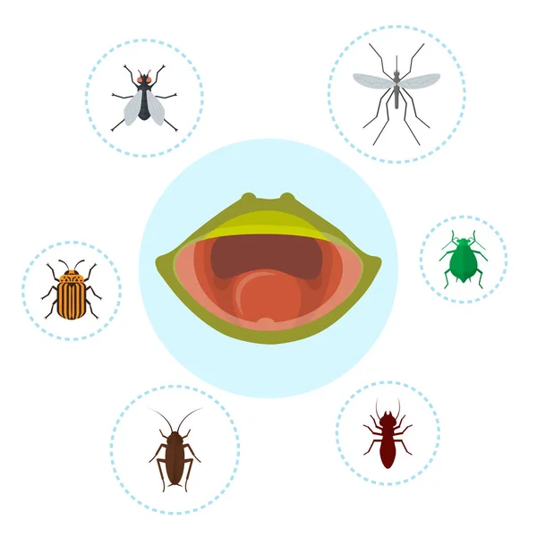 Žabí jídla a výživa croketu, moscito, moucha a brouků vektorová ilustrace. Biologie, žabí potravinový řetězec. Bufo, Evropský TOD nebo froté ústa. — Stockový vektor