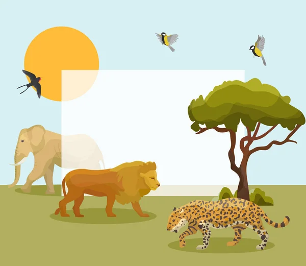 African animals vector frame illustration. Elephant, lion and gepard with baobab, birds and sun. Wildlife african animals template for design of text.