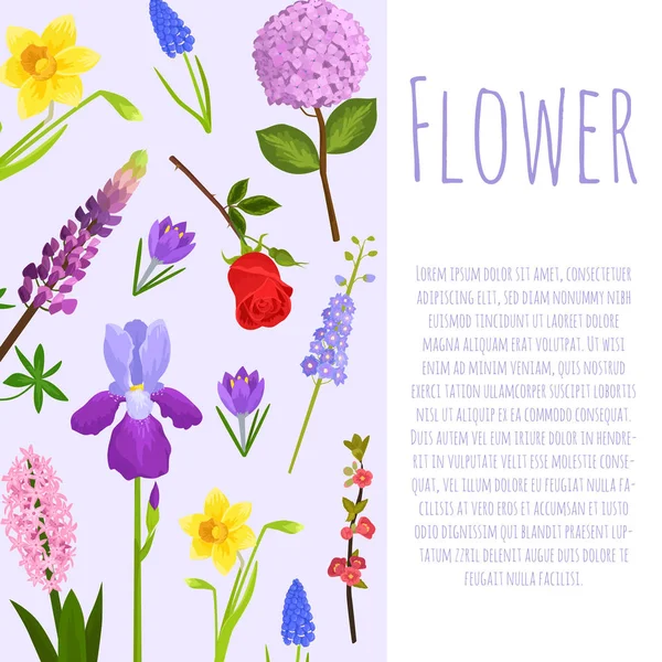 Floral ou jardim flores verão poster vetor ilustração. Desenho de flores da natureza com fundo floral violeta concurso. Plantas e flores do jardim com texto e tipografia . — Vetor de Stock