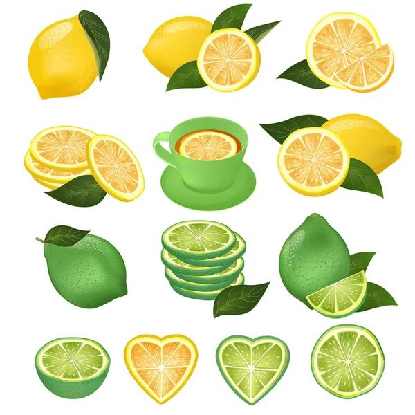 Citromvektor zöld mész és citrom szeletelt sárga citrusfélék és friss lédús limonádé illusztráció természetes készlet citrom szelet vágott elszigetelt fehér alapon — Stock Vector