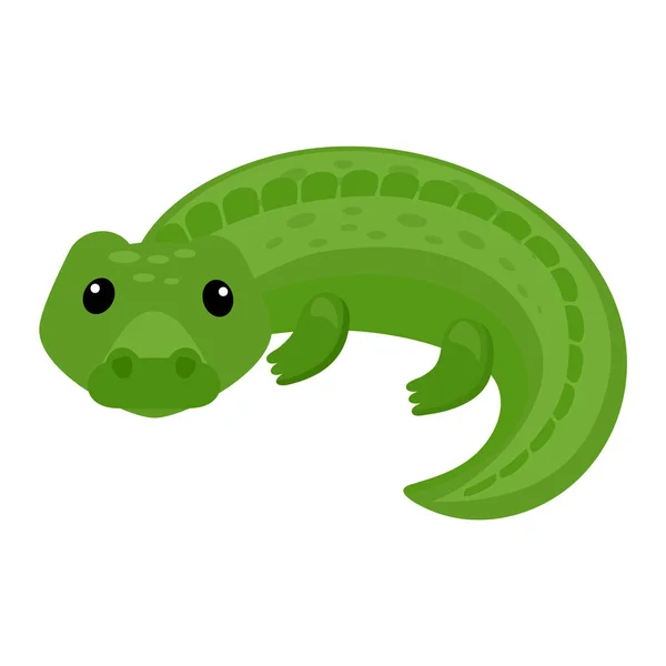 Krokodýlí vektor karikatura krokodýl charakter zelené aligátor hraní v dětském pokoji ilustrace animalistické dětinské legrační dravec izolované na bílém pozadí — Stockový vektor