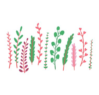 Çimen tomurcukları, beyaz, düz vektör çizimlerinde izole bir şekilde büyür. Pediyatri amcası sapında yeşil yaprak, farklı otlar.