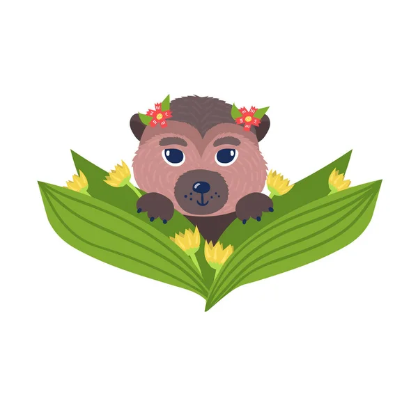 Vårstämning design, söt vild liten björn karaktär vilar i vår blomma, löv träd buske isolerad på vit, platt vektor illustration. — Stock vektor